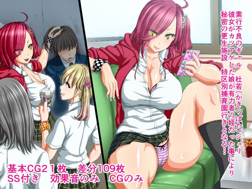 調子に乗っている不良ギャルが性的に再教育される